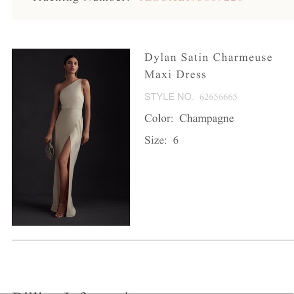COPY - BHLDN Dylan Dress in Champagne UNALTERED, worn once and dry cleaned. - Picture 7 of 11